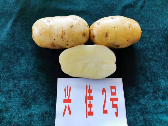 ˼2