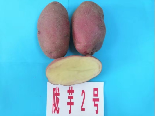 ¤2